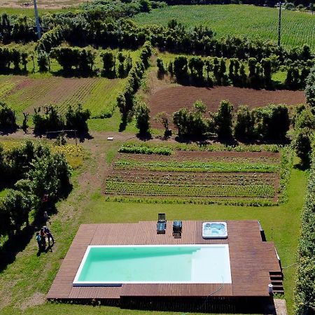 Quinta Dos Sabores Farm Houses Ribeira Grande Luaran gambar