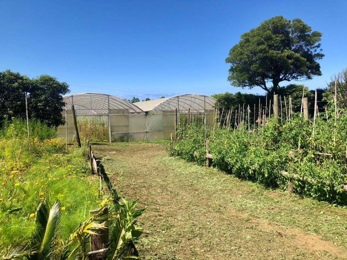 Quinta Dos Sabores Farm Houses Ribeira Grande Luaran gambar